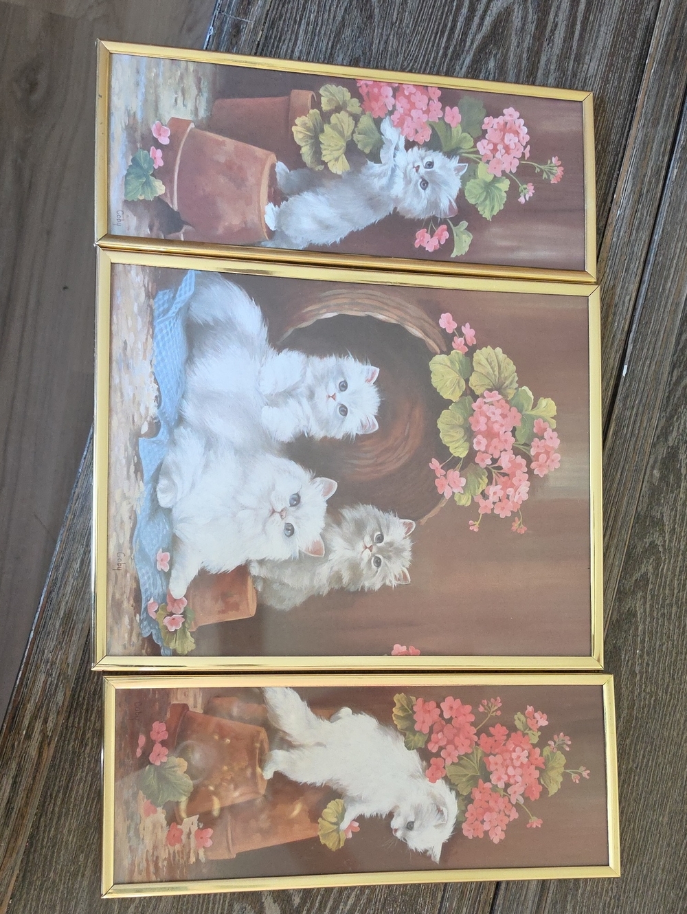 WHITE PERSIAN Angora KITTEN Cat Print Framed Wall Art By Artist Coby Triptych